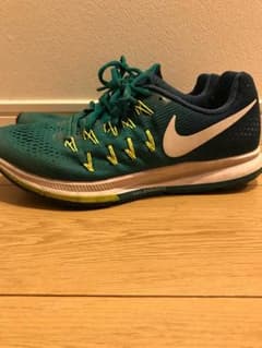 NIKE ズームペガサス33 25.5cmのサムネイル