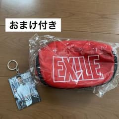 EXILE perfect year 2020 ポーチ　おまけ付きのサムネイル