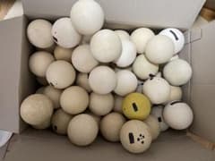 ロジャーフェデラー 直筆サイン入りボールRoger Federer signed