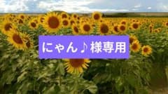 熊本県産 青梅 無農薬 10キロ(箱込み)のサムネイル