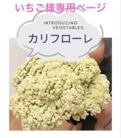 いちご様専用ページのサムネイル