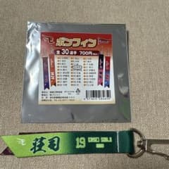 東北楽天ゴールデンイーグルス ボンフィン 荘司康誠のサムネイル