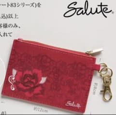 ⭐︎ゴルデンウィークセール⭐︎！！サルート パスケース Wacoalのサムネイル