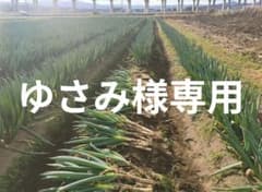 ゆさみ様専用のサムネイル