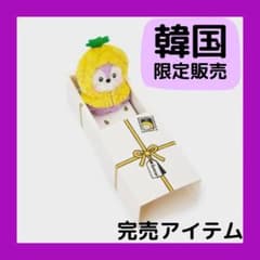 [MANG]BTS BT21 minini 과일 인형 한국 한정