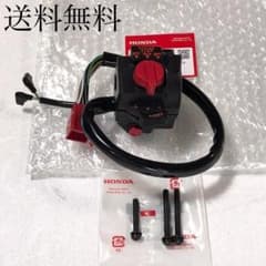 m48589345003_1.jpg?1732197699