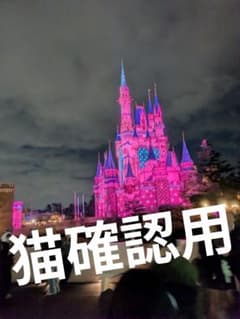 猫の画像　オーダー用のサムネイル