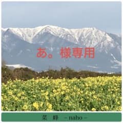 あ。様専用 「厄除け吊り飾り」のサムネイル