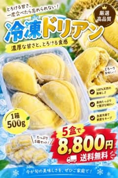 冷凍ドリアン 果肉 500g*5パックセットのサムネイル