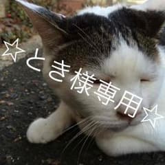 とき様 専用ページのサムネイル