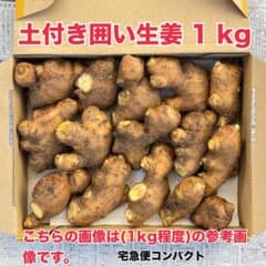 熊本生姜 土付き囲い生姜 15kg 熊本生姜 土付き囲い生姜 1 kg - メルカリ
