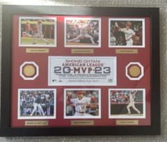 m48603033894_1.jpg?1759155627