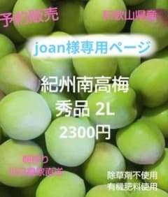 紀州南高梅 秀品 2L 1キロ2300円 和歌山県産のサムネイル