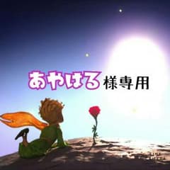 【あやはる様専用】のサムネイル
