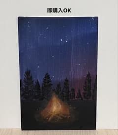 オーロラ キャンバスアート アクリル画 風景画 夜空 夜景 絵画のサムネイル