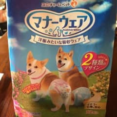 マナーウェア 女の子用　Lサイズ　中型犬のサムネイル