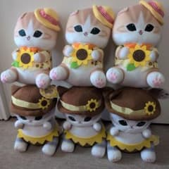 モフサンドmofusand ひまわりにゃんBIGぬいぐるみ ６点セット モフサンドmofusand ひまわりにゃんBIGぬいぐるみ 6点セット - メルカリ