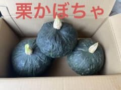 栗かぼちゃ 3個入りのサムネイル