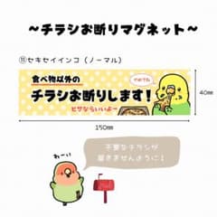 チラシお断りマグネット(セキセイインコノーマル)のサムネイル