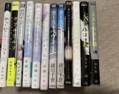 BL漫画12冊まとめ売り② 別売り⭕️のサムネイル