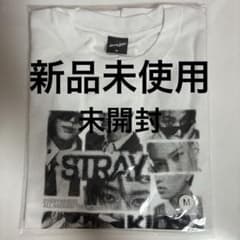 Stray Kids RUN IT フォトTシャツ ホワイト Mサイズのサムネイル