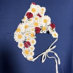 森ガール　バブーシュカ　フェアリーグランジ　てんとう虫のサムネイル
