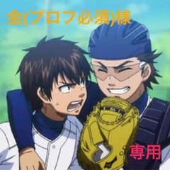 金(プロフ必須)様専用のサムネイル