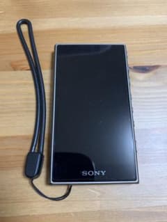 （128gb SD付き）SONY ウォークマン Aシリーズ NW-A105(G)のサムネイル