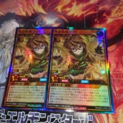 ラッシュデュエル 地霊術師アウス - メルカリ