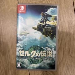 ゼルダの伝説 ティアーズ オブ ザ キングダム