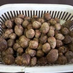たくさん入ったバスケット里芋小粒ちやんです。1、2キロgのサムネイル