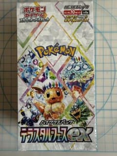 Đ*n様 テラスタルフェス【シュリンク付き】1BOXのサムネイル