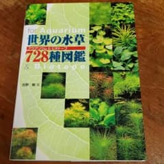 世界の水草728種図鑑 : アクアリウム&ビオトープのサムネイル