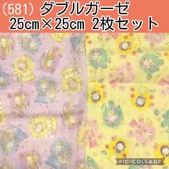 더블 거즈(581) 디즈니 프린세스 각 25×25 2장 세트