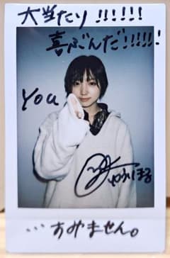 お宝！AKB48 ビキニ水着ポスター付録2012 指原莉乃松井玲奈渡辺麻友