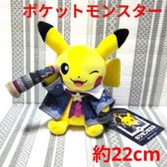 N313 ☆新品☆ ポケモン ポケモン天文台 ほしぞらピカチュウ