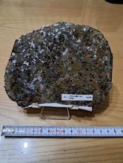 パラサイト隕石 セリコ隕石 296g - メルカリ