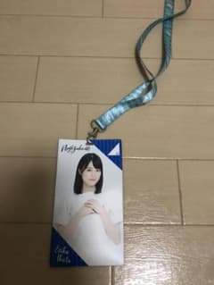乃木坂46 生田絵梨花 チケットホルダー 逃げ水verのサムネイル