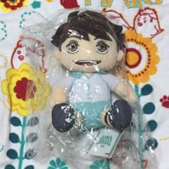 本日のみ値引き！及川 でふぉめぬいぐるみのサムネイル