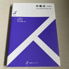労働法 (第4版)のサムネイル