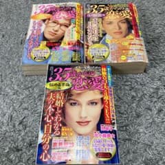 レディースコミック3冊セットのサムネイル