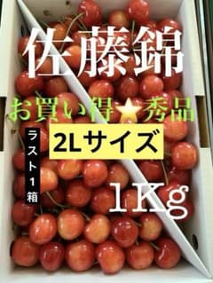 佐藤錦 1kg 果樹園直送 秀品 さくらんぼのサムネイル
