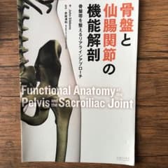 骨盤と仙腸関節の機能解剖 骨盤帯を整えるリアラインアプローチのサムネイル
