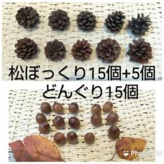 どんぐり15個&松ぼっくり15個+おまけ5個のサムネイル