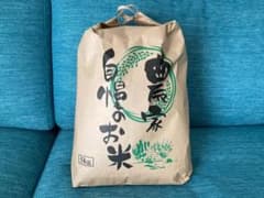 令和８年産　新米　高知県産コシヒカリ10kg（5kg×2袋）農家直送のサムネイル