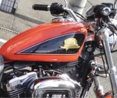 スポーツスタータンクのみですのサムネイル