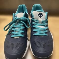 DESCENTE SKY LO 3バレーボールシューズ25.5 清水