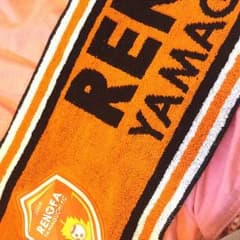 レノファ山口のサムネイル