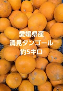 愛媛県産清見タンゴールのサムネイル