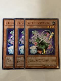 遊戯王　1103 パペットプラント　ウルトラ　　3枚　1st　韓国 遊戯王 パペット・プラント 3枚セット - メルカリ